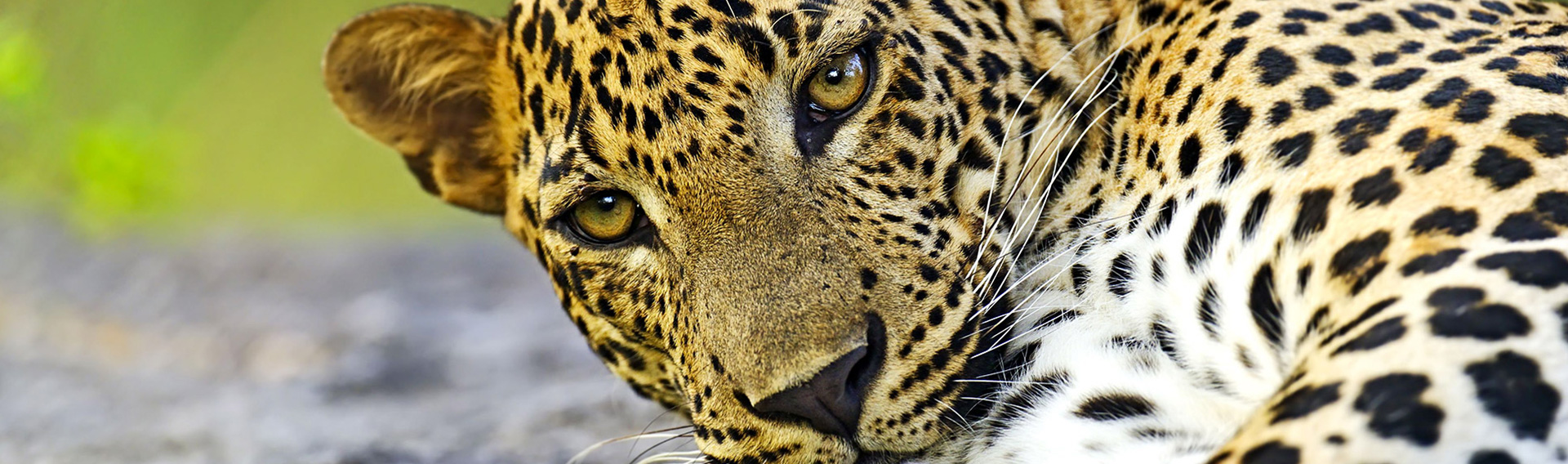 Beyond Travels and Tours  - Slider Three 