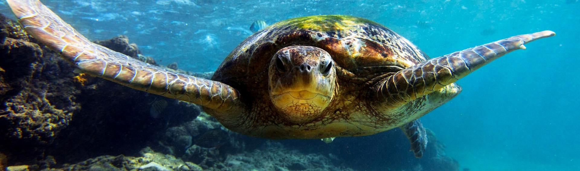 Beyond Travels and Tours  - Slider Five 